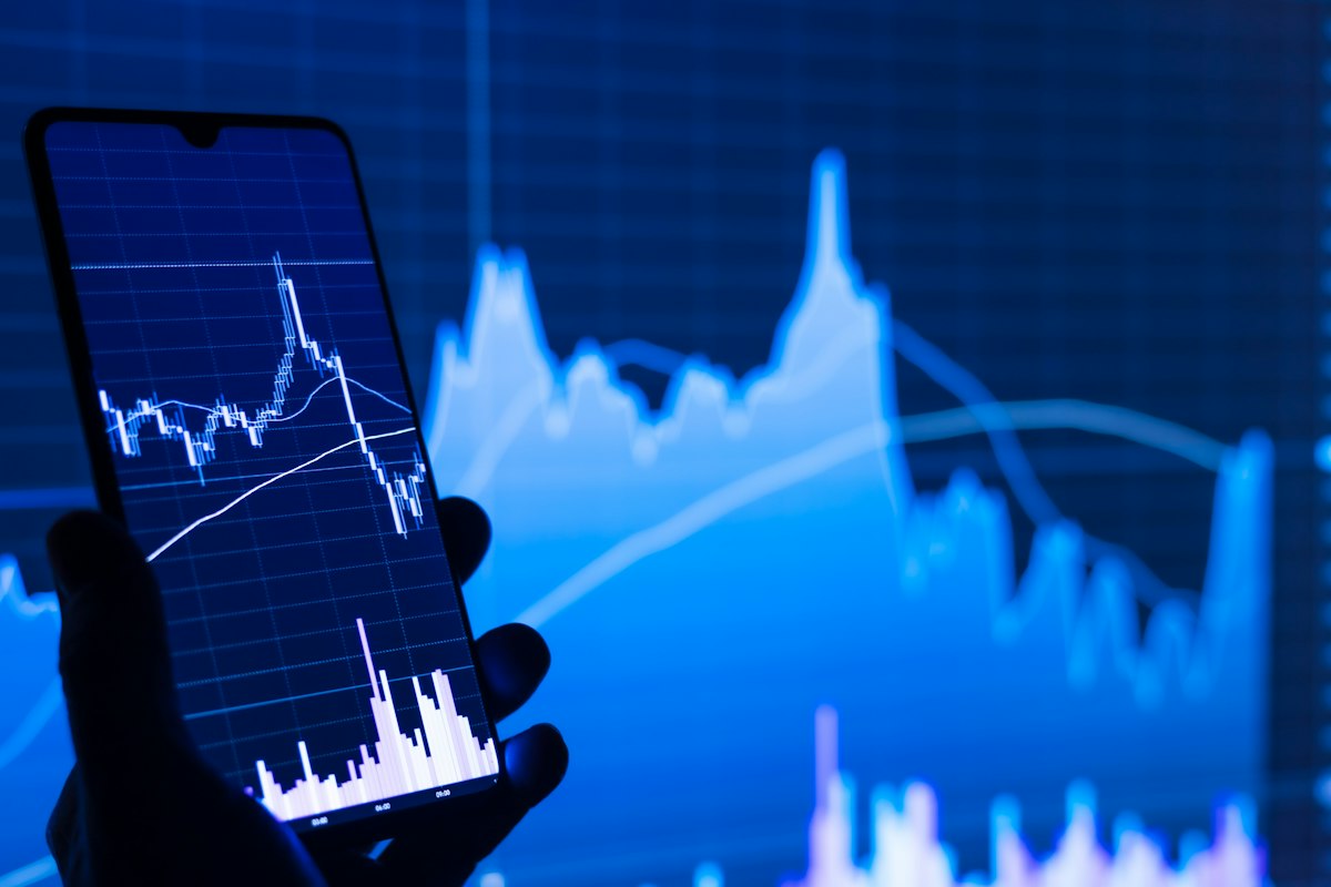 What Your Portfolio Leaderboard Rank Actually Measures